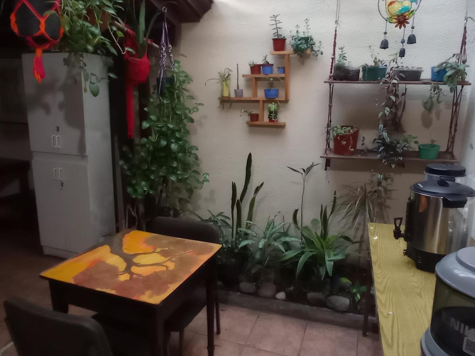 Hostel Casa Ridgway San Jose  Exterior photo